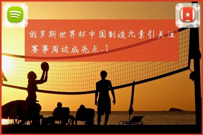 俄罗斯世界杯中国制造元素引关注 赛事周边成亮点_1