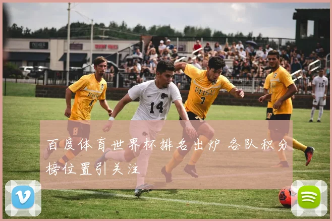 百度体育世界杯排名出炉 各队积分榜位置引关注