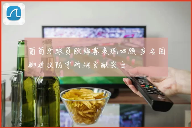 葡萄牙球员欧锦赛表现回顾 多名国脚进攻防守两端贡献突出