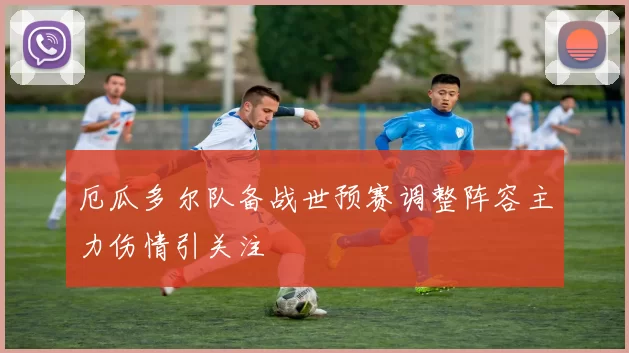 厄瓜多尔队备战世预赛调整阵容主力伤情引关注